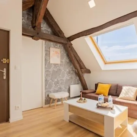 Le Nid Troyen - Gare - Hypercentre - New Cosy - Rent Immo