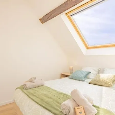 Le Nid Troyen - Gare - Hypercentre - New Cosy - Rent Immo * Troyes